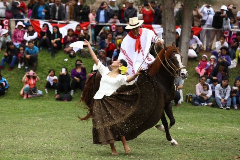 Marinera con caballo de paso peruano