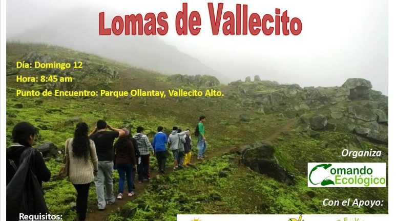 Jornada de riego y limpieza en las Lomas de Vallecito