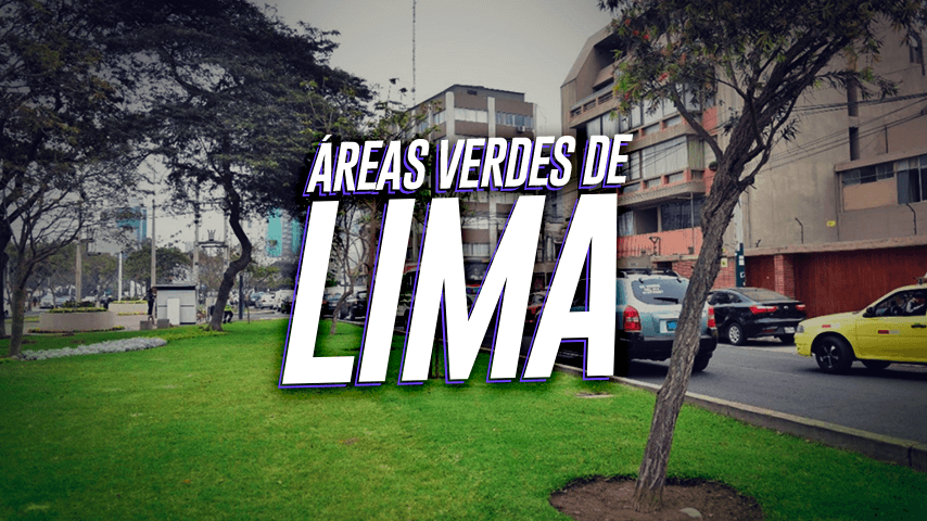 Albergue de árboles: ¿El mejor lugar para los árboles de Lima?