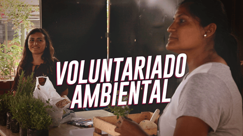 Acción Voluntaria: Munay y su compromiso con el planeta