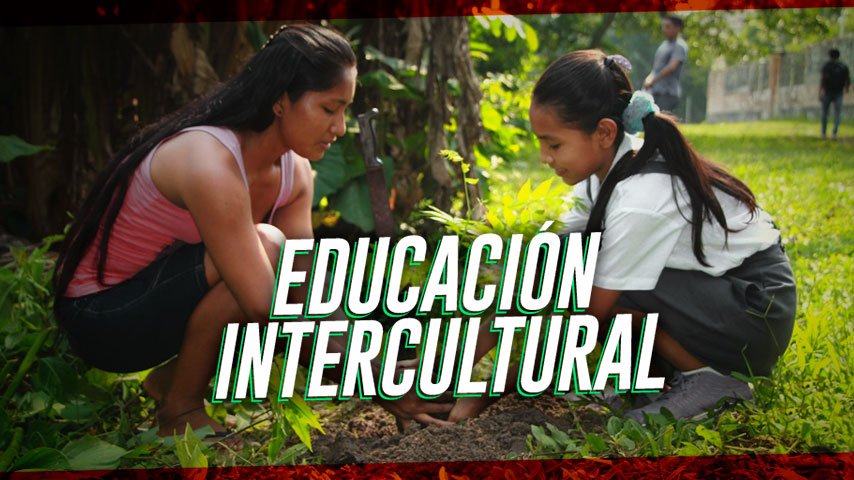 Estos profesores están formando niños bilingües en la Amazonía