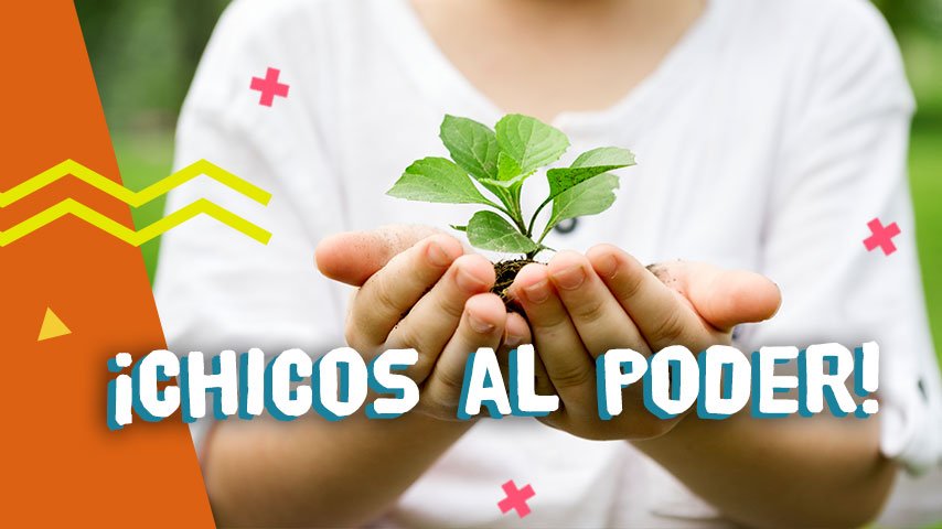 Ecoaprendiendo: el programa de educación ambiental que anima a los chicos a transformar al Perú