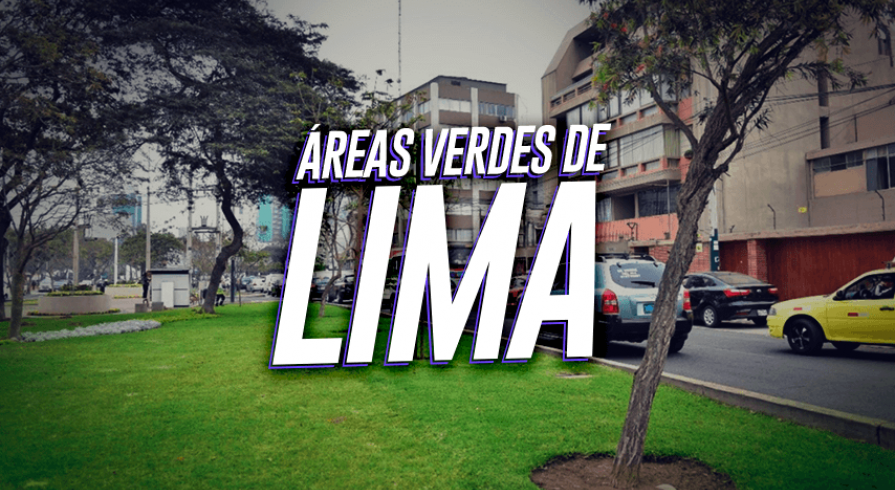 Albergue de árboles: ¿El mejor lugar para los árboles de Lima?