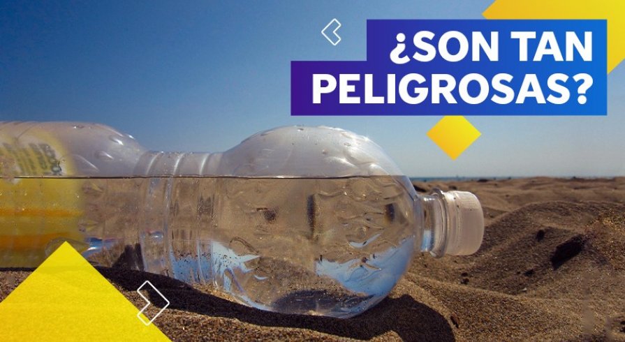 Las botellas de plástico: no tan buenas con el planeta y tu salud 
