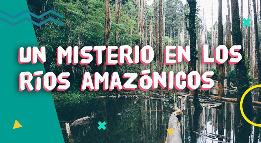 Un misterio en los ríos amazónicos