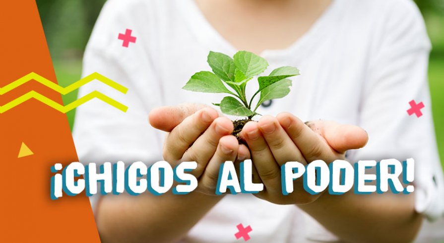 Ecoaprendiendo: el programa de educación ambiental que anima a los chicos a transformar al Perú