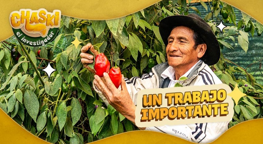 ¿Valoramos la agricultura del Perú? 